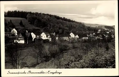 Ak Rechenberg Bienenmühle Erzgebirge, Teilansicht