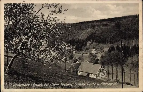 Ak Ober Holzhau Rechenberg Bienenmühle Erzgebirge, Fachwerkhaus