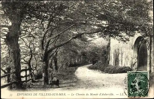 Ak Auberville Calvados, Le Chemin du Manoir