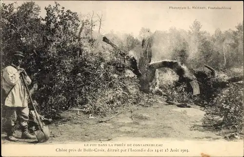 Ak Seine et Marne, Chene pres de Belle Croix, detruit par l'incendie 1904