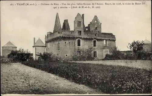 Ak Tigné Maine et Loire, Château de Riou, une des plus belles ruines de l' Anjou