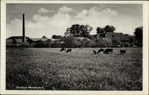Ak Wenzendorf in Niedersachsen, Gasthof von L. Matthies, Kühe auf der Weide