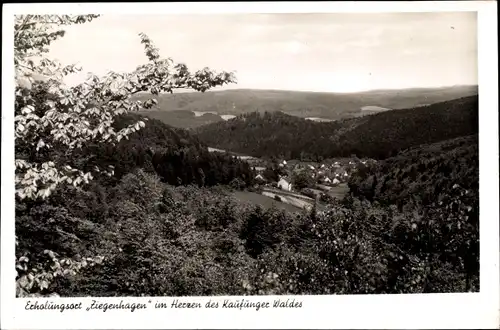 Ak Ziegenhagen Witzenhausen in Hessen, Ort im Herzen des Kaufunger Waldes