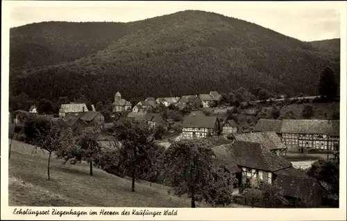 Ak Ziegenhagen Witzenhausen im Werra Meißner Kreis, Ortsansicht, Kaufunger Wald 