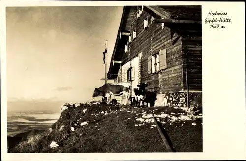 Ak Törwang Samerberg in Oberbayern, Hochries Gipfel Hütte, Kühe