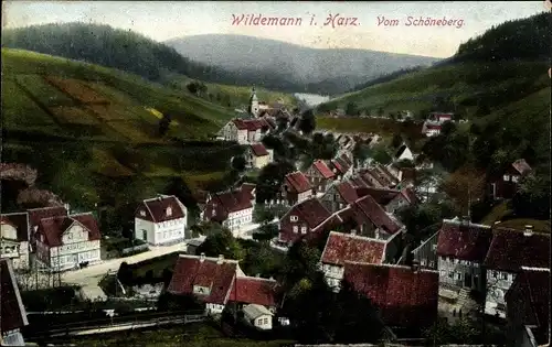 Ak Wildemann Clausthal Zellerfeld im Oberharz, Blick vom Schöneberg