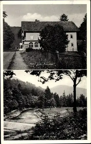 Ak Herzberg am Harz, Siebertal, Waldhotel, Pensionshaus Zum Paradies