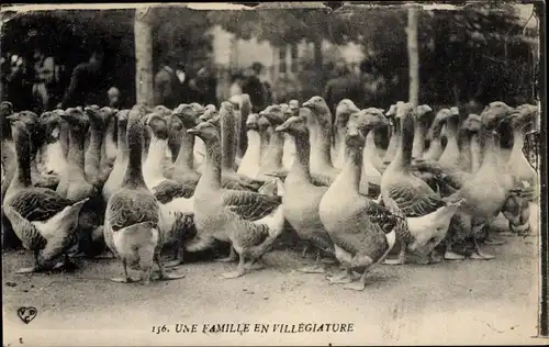 Ak Une Famille en Villegiature, Enten