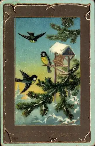 Präge Passepartout Ak Glückwunsch Weihnachten, Blaumeise, Vogelhäuschen