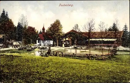 Ak Warngau in Oberbayern, Taubenberg