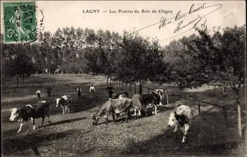 Ak Lagny Seine et Marne, Les Prairies du Bois de Chigny