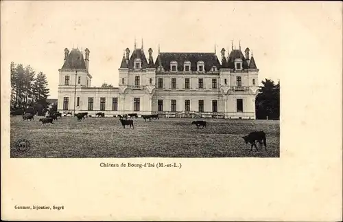 Ak Bourg-d'Iré Maine et Loire, Château, Kuhherde