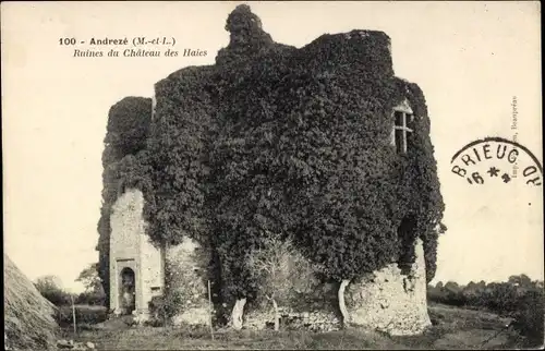 Ak Andrezé Maine et Loire, Ruines du Château des Haies