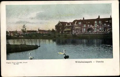 Ak Utrecht Niederlande, Wilhelminapark, Schwäne