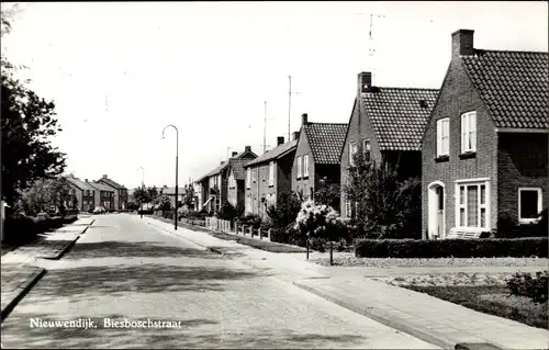 Ak Nieuwendijk Nordbrabant, Biesboschstraat