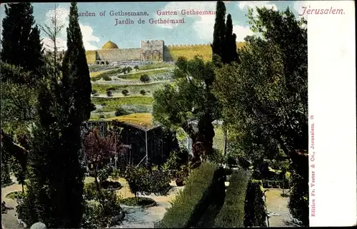 Ak Jerusalem Israel, Garden of Gethsemane