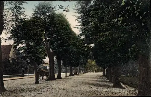 Ak Verden an der Aller, Wall, Allee