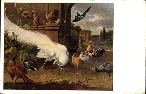 Künstler Ak d'Hondecoeter, Melchior, Der weiße Pfau