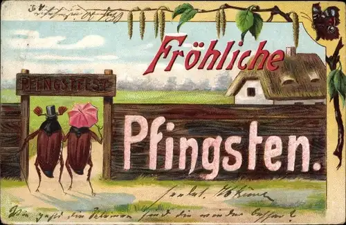 Ak Glückwunsch Pfingsten, Maikäfer beim Pfingstfest, Birkenzweig, Schmetterling