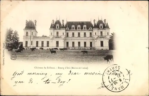 Ak Bourg-d'Iré Maine et Loire, Château, Kuhherde