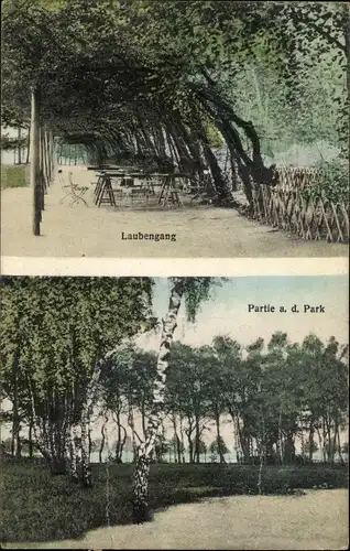 Ak Hamburg Harburg, Lohmann's Park Carl Brüdigam, Laubengang