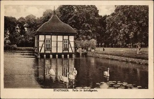 Ak Stadthagen in Niedersachsen, Schlossgarten, Teich, Schwäne