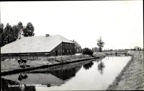 Ak Werkhoven Utrecht, Flusspartie, Haus, Kuh