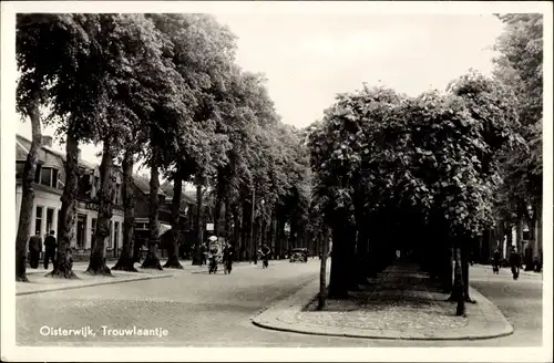 Ak Oisterwijk Nordbrabant Niederlande, Trouwlaantje