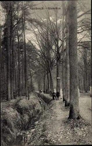 Ak Mastbosch Nordbrabant, Ginneken, Wald, Parklandschaft, Kanal, Kinder