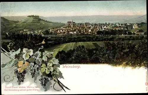 Ak Weinsberg im Kreis Heilbronn, Gesamtansicht, Burg Weibertreu, Weinrebe