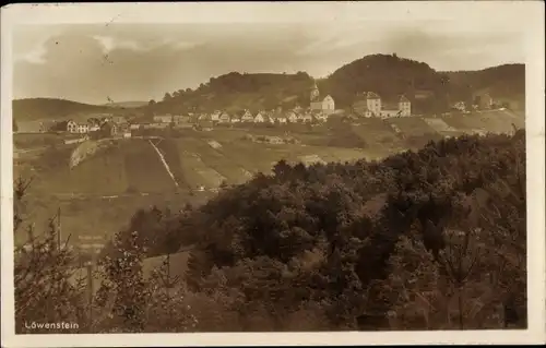 Ak Löwenstein in Württemberg, Panorama