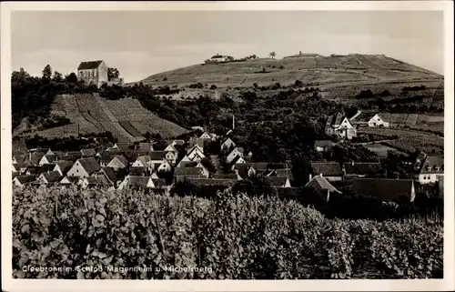 Ak Cleebronn in Württemberg, Michaelsberg, Schloss Magenheim