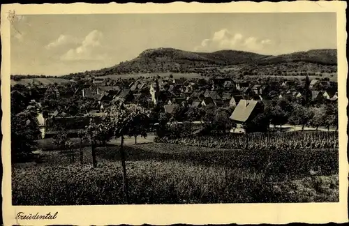 Ak Freudental in Württemberg, Panorama