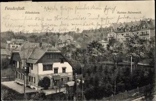 Ak Freudenstadt im Nordschwarzwald, Villenkolonie, Kurhaus Palmenwald