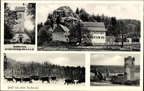 Ak Hilscheid in Rheinland Pfalz, Aussichtsturm auf dem Erbeskopf, Hochwald, Ruine Baldenau