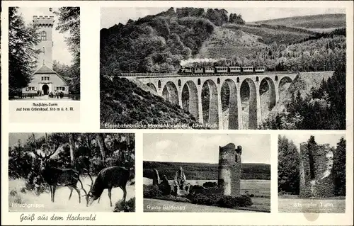 Ak Morscheid Riedenburg in Rheinland Pfalz, Aussichtsturm, Eisenbahn Brücke Hoxel Morscheid, Hirsche