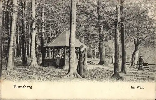 Ak Pinneberg in Holstein, Partie im Wald