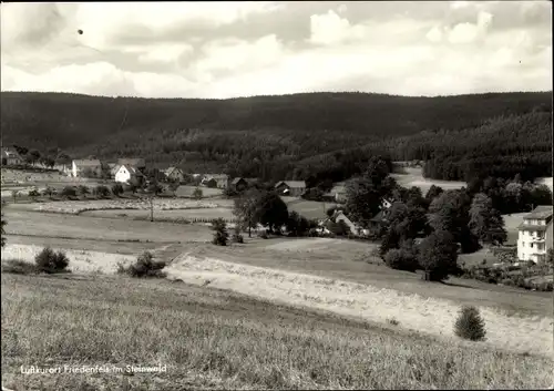 Ak Friedenfels in der Oberpfalz, Teilansicht mit Steinwald