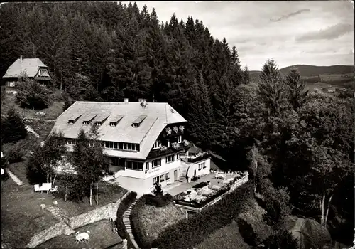 Ak Hinterzarten im Schwarzwald, Haus am Tannenhain