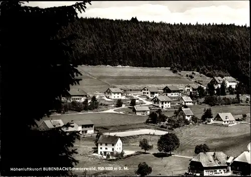 Ak Bubenbach Eisenbach im Hochschwarzwald, Teilansicht mit Wald