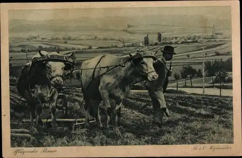 Ak Pflügender Bauer, Rinderpflug