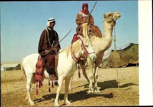 Ak Beduin Horsemen, Beduinen Reiter, Kamel, Pferd