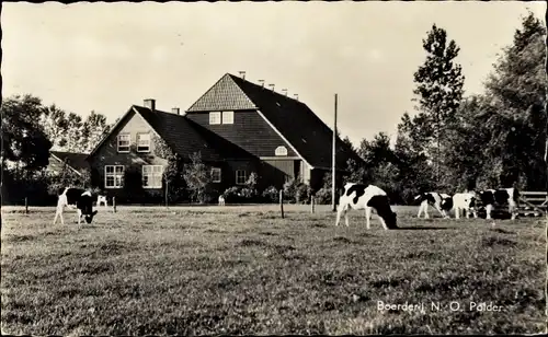 Ak Noordoostpolder Flevoland Niederlande, Boerderij