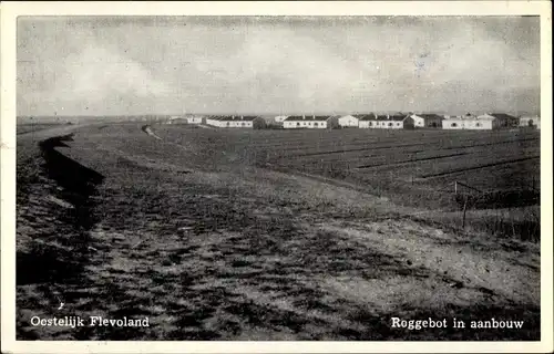 Ak Roggebot Oostelijk Flevoland, Roggebot in aanbouw