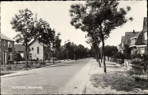 Ak Borssele Zeeland, Monsterweg, Straßenpartie