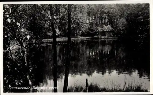 Ak Duurswoude Friesland, Bos met Vijver, Teich