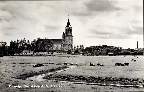 Ak Dronrijp Friesland, Gezicht op de N. H. Kerk, Kuhweide, Kirche