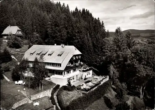 Ak Hinterzarten im Schwarzwald, Haus am Tannenhain