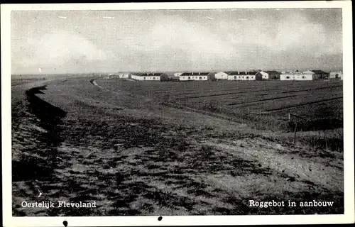 Ak Roggebot Oostelijk Flevoland, Roggebot in aanbouw