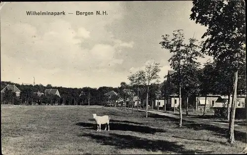 Ak Bergen Nordholland Niederlande, Wilhelminapark